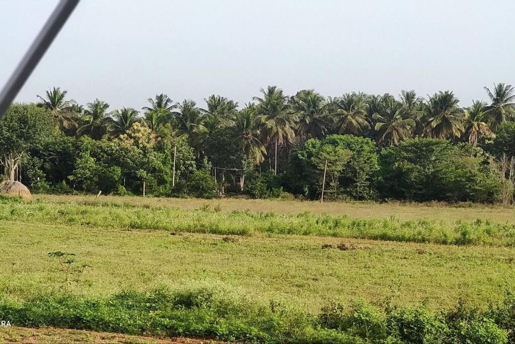 Kolluri Nivasa Entire Ff Bunglow, Garden, Green Surrounding, Hall Villa Mysore Eksteriør bilde