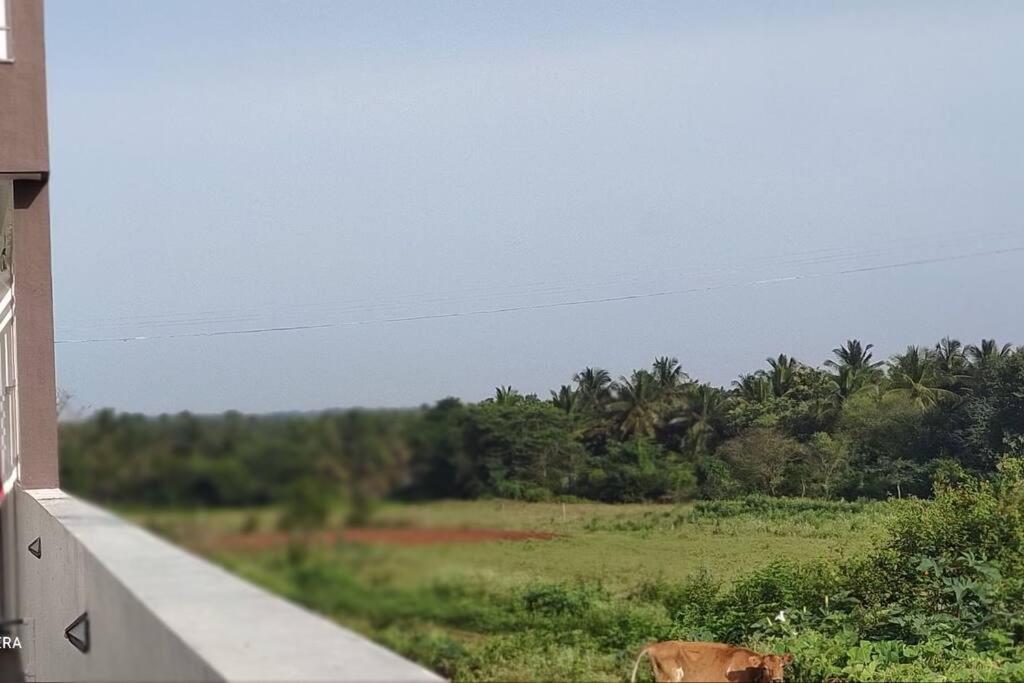 Kolluri Nivasa Entire Ff Bunglow, Garden, Green Surrounding, Hall Villa Mysore Eksteriør bilde